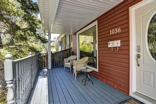 Photo 41: 1036 9 Street SE in Calgary: Ramsay Detached for sale : MLS®# C4299272