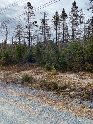 Photo 3: Lot 109 337 Toni Drive in Boutiliers Point: 40-Timberlea, Prospect, St. Marg Vacant Land for sale (Halifax-Dartmouth)  : MLS®# 202406861