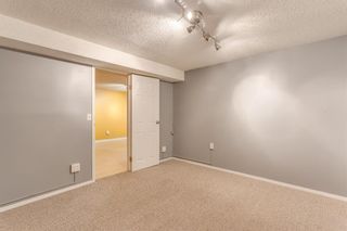 Photo 21: 3003 32A Street SE in Calgary: Dover Detached for sale : MLS®# A1226898