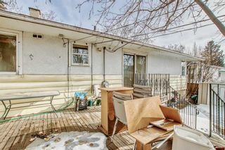 Photo 16: 739 36 Street NW in Calgary: Parkdale Detached for sale : MLS®# A2092247