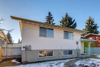 Photo 27: 76 Dovercrest Way SE in Calgary: Dover Detached for sale : MLS®# A2105476