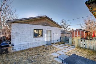 Photo 28: 3316 Doverthorn Road SE in Calgary: Dover Detached for sale : MLS®# A1233491