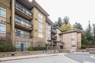 Photo 36: 203 3294 MT SEYMOUR Parkway in North Vancouver: Northlands Condo for sale in "Northlands Terrace" : MLS®# R2867619