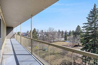 Photo 22: 508 3316 Rideau Place SW in Calgary: Rideau Park Apartment for sale : MLS®# A2120450