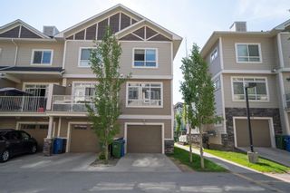 Photo 46: 54 Skyview Ranch Gardens NE in Calgary: Skyview Ranch Row/Townhouse for sale : MLS®# A2050472