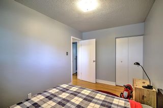 Photo 19: 456 Acadia Drive SE in Calgary: Acadia Detached for sale : MLS®# A1238226