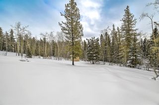 Photo 42: 231192 Forestry Way: Bragg Creek Detached for sale : MLS®# A2027740