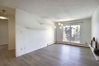 Photo 13: 203 809 4 Street NE in Calgary: Renfrew Apartment for sale : MLS®# A2118564