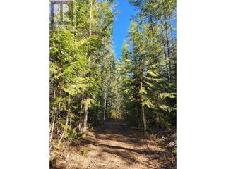 Photo 20: 712 Grange Road in Enderby: Vacant Land for sale : MLS®# 10310045