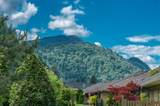 Photo 38: 176 46000 THOMAS Road in Chilliwack: Vedder S Watson-Promontory Townhouse for sale in "Halcyon Meadows" (Sardis)  : MLS®# R2460859