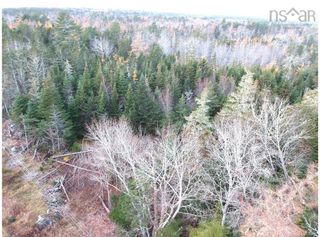 Photo 10: Lot Highway 331 in Voglers Cove: 405-Lunenburg County Vacant Land for sale (South Shore)  : MLS®# 202226213