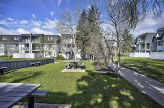 Photo 36: 1109 3115 51 Street SW in Calgary: Glenbrook Apartment for sale : MLS®# A2129011