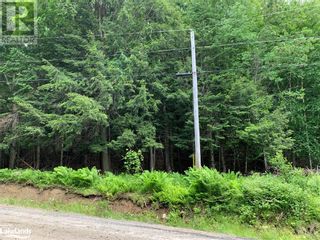 Photo 15: 0 SAM ENGLISH Road in Huntsville: Vacant Land for sale : MLS®# 40391008