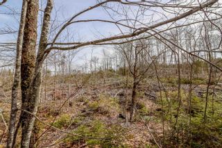 Photo 10: Lot N2 Nature Haven Road in Lake Paul: Kings County Vacant Land for sale (Annapolis Valley)  : MLS®# 202207656