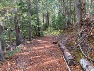 Photo 17: DL3592 & DL4084 1020 Forest Service Road in Seymour Arm: syemour arm Land Only for sale (shuswap)  : MLS®# 10241424