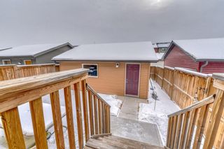 Photo 27: 449 Evanston Drive NW in Calgary: Evanston Detached for sale : MLS®# A1186691