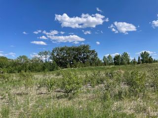 Photo 1: 3 Shannon Mews: Rural Foothills County Residential Land for sale : MLS®# A2053754