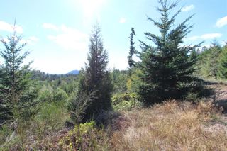 Photo 17: Lot 4 Olympic Dr in Shawnigan Lake: ML Shawnigan Land for sale (Malahat & Area)  : MLS®# 886620
