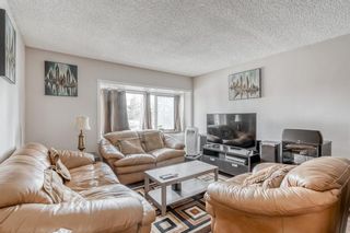 Photo 9: 210 8231 Elbow Drive SW in Calgary: Chinook Park Apartment for sale : MLS®# A1256165