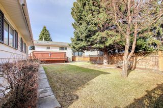 Photo 46: 5508 Dalhousie Drive NW in Calgary: Dalhousie Detached for sale : MLS®# A1212597