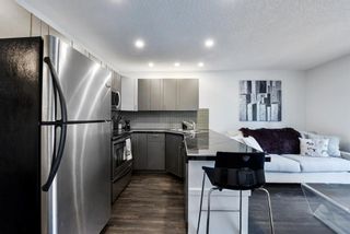 Photo 10: 203 912 19 Avenue SW in Calgary: Lower Mount Royal Apartment for sale : MLS®# A1251094