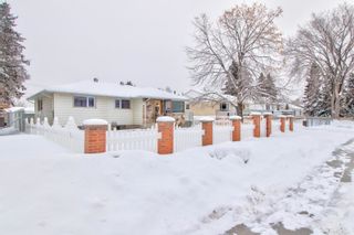 Photo 10: 10931 153 Street in Edmonton: Zone 21 House for sale : MLS®# E4272815