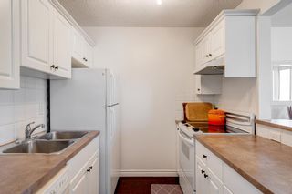 Photo 7: 303 607 7 Avenue NE in Calgary: Renfrew Apartment for sale : MLS®# A2033863