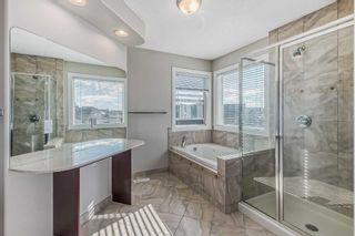 Photo 27: 163 Discovery Ridge Way SW in Calgary: Discovery Ridge Detached for sale : MLS®# A2079702