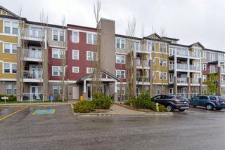 Photo 28: 307 2300 Evanston Square NW in Calgary: Evanston Apartment for sale : MLS®# A1210048