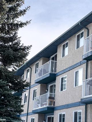 Photo 37: 403D 5601 Dalton Drive NW in Calgary: Dalhousie Apartment for sale : MLS®# A2032146