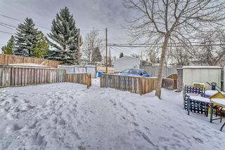 Photo 5: 5834 Dalgleish Road NW in Calgary: Dalhousie Semi Detached for sale : MLS®# A1169597