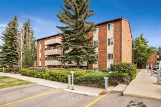 Photo 1: 103 11620 Elbow Drive SW in Calgary: Canyon Meadows Apartment for sale : MLS®# A1257129