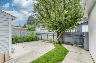 Photo 30: 307 Avonburn Road SE in Calgary: Acadia Detached for sale : MLS®# A1131466