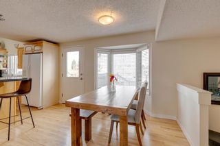 Photo 13: 112 Parkview Green SE in Calgary: Parkland Detached for sale : MLS®# A1200181