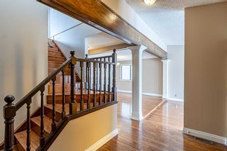 Photo 4: 55 TEMPLEVALE Way NE in Calgary: Temple Detached for sale : MLS®# A2103805