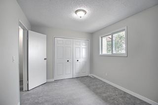 Photo 6: 73 32 Whitnel Court NE in Calgary: Whitehorn Row/Townhouse for sale : MLS®# A2052215