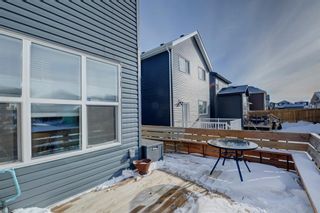 Photo 38: 73 Evanscrest Place NW in Calgary: Evanston Detached for sale : MLS®# A2010619
