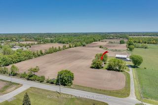 Photo 34: 24425 Mccowan Road in Georgina: Sutton & Jackson's Point Property for sale : MLS®# N6064636
