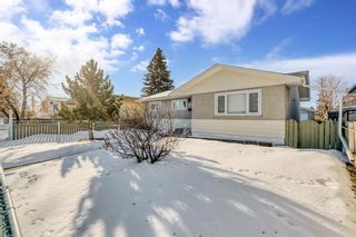 Photo 12: 1523 47 Street SE in Calgary: Forest Lawn Detached for sale : MLS®# A2020953