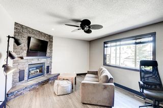 Photo 19: 137 Bridlecreek Park SW in Calgary: Bridlewood Detached for sale : MLS®# A1240143