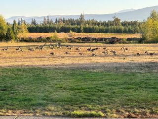 Photo 58: 2070 Sun King Rd in Coombs: PQ Errington/Coombs/Hilliers House for sale (Parksville/Qualicum)  : MLS®# 956952