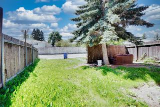 Photo 41: 6111 Penbrooke Drive SE in Calgary: Penbrooke Meadows Semi Detached (Half Duplex) for sale : MLS®# A1234370
