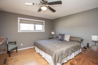 Photo 13: 160 Pamely Avenue: Red Deer Detached for sale : MLS®# A1100688