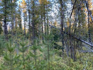 Photo 26: BLOCK D DL7872 TAKLA FOREST Road in Prince George: Reid Lake Land for sale in "McPhee Road" (PG Rural North)  : MLS®# R2768066