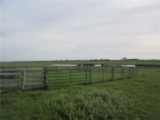 Photo 1: 250 Range Road: Rural Wheatland County Land for sale : MLS®# C4302878