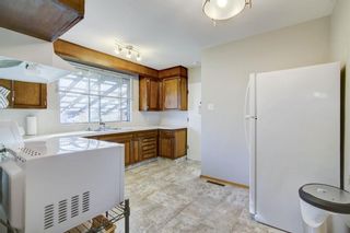 Photo 7: 4431 3 Street NE in Calgary: Greenview Detached for sale : MLS®# A1232463