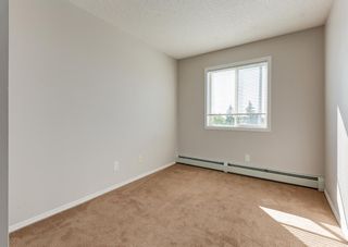 Photo 16: 306 4306 Valleyview Park SE in Calgary: Dover Apartment for sale : MLS®# A2002811