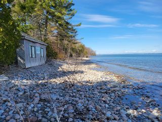 Photo 4: 16 Giant's Tomb Island in Tiny: Rural Tiny Property for sale : MLS®# S6002747