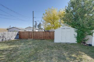 Photo 36: 1464 42 Street NE in Calgary: Marlborough Detached for sale : MLS®# A2003196