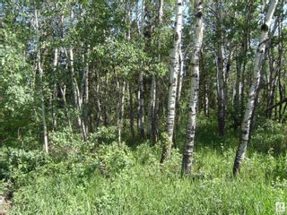 Photo 1: 5069 5 ST: Rural Lac Ste. Anne County Vacant Lot/Land for sale : MLS®# E4368932